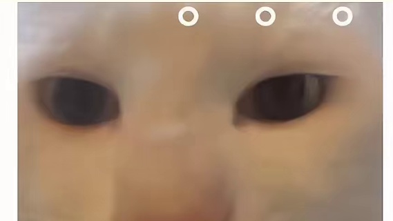 师傅：本来没起鲨心的