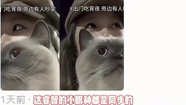 果然不管什么物种都爱凑热闹