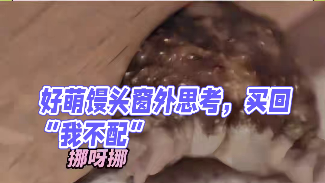 看价格前：好萌  看价格后：我不配