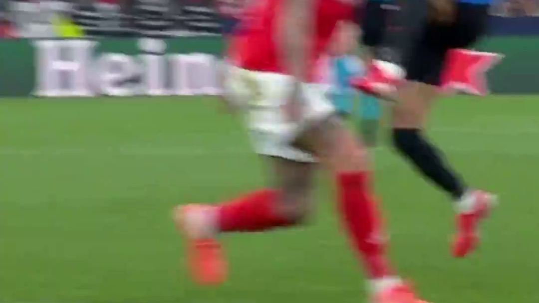 什琴斯尼，我们的城墙，今天你想做什么都可以