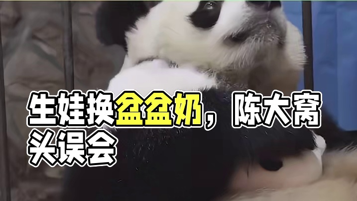 成大：生娃如果不是用来换盆盆奶的，那将毫无意义！