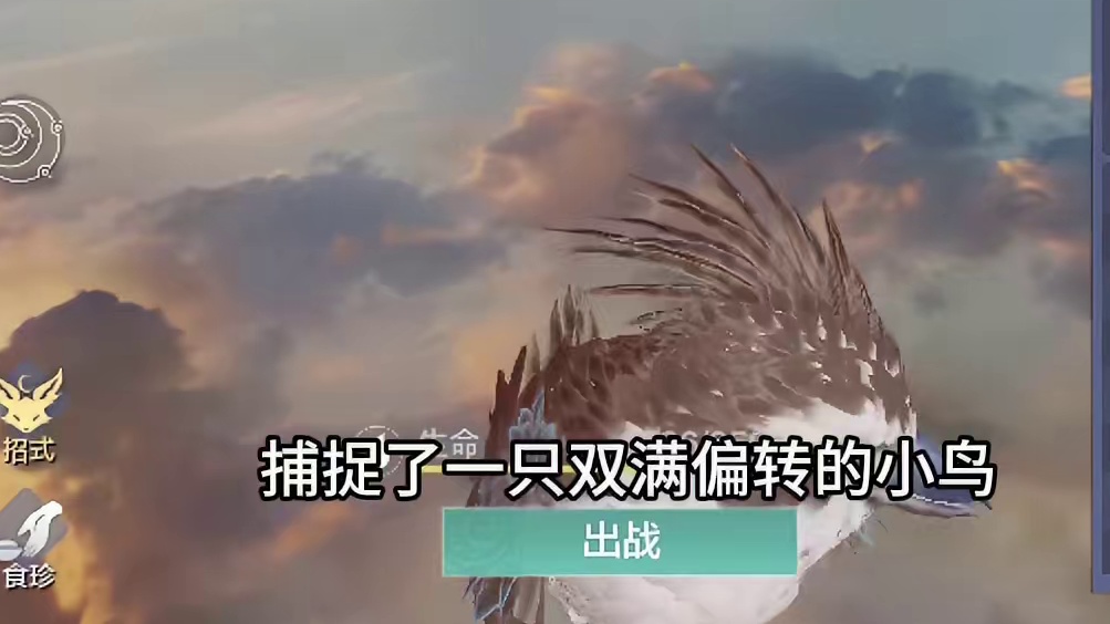 大荒偶遇双6%变身小鸟，这仿佛暗示着我什么，能否进化双红呢？ #妄想山海 #游戏日常