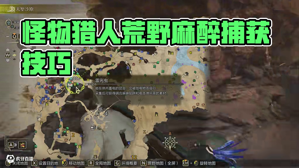 怪物猎人荒野捕获玩法详解 #怪物猎人荒野 #怪物猎人荒野创作激励 #怪物猎人 #steam游戏