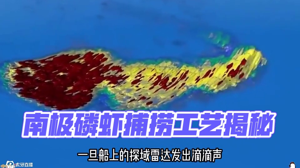 南极磷虾是如何捕捞的？#磷虾 #南极磷虾