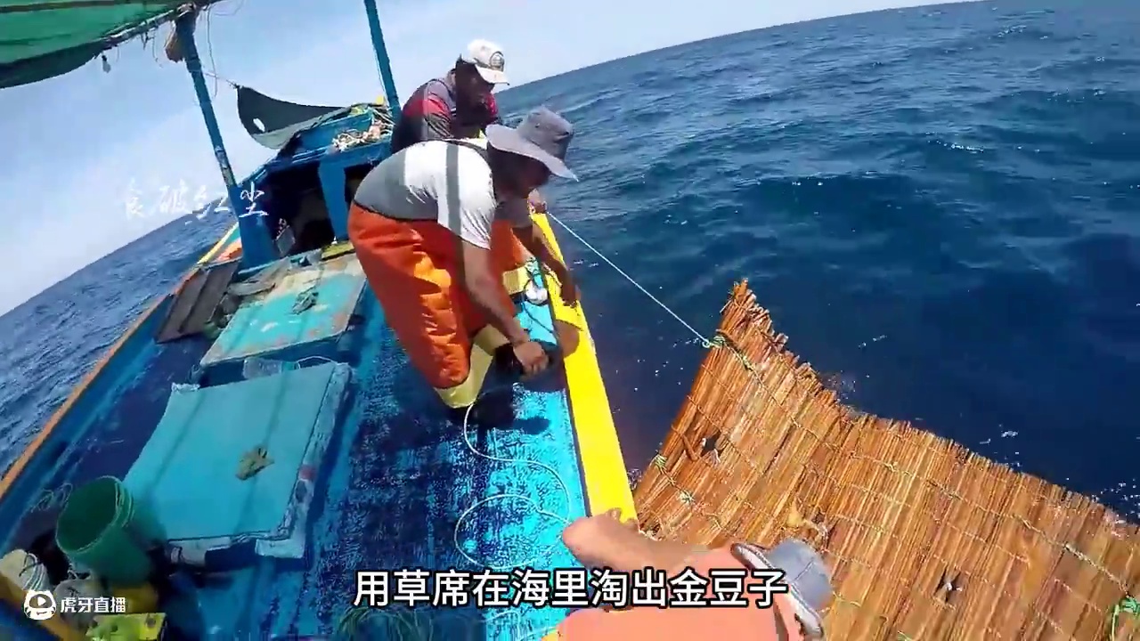 用草席就能在海里淘出金豆子 #飞鱼卵 #香肠
