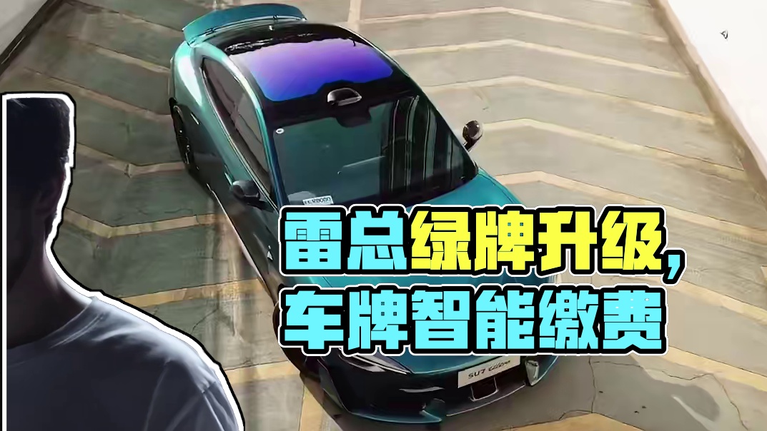 雷总提议改车牌，网友双手双脚赞成？#雷军 #绿牌 #车星计划