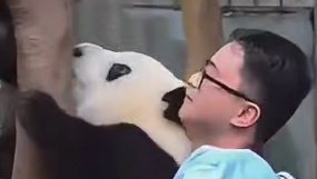 花花：弱小可怜无助但能吃！