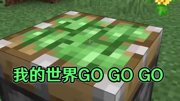 #我的世界 #Minecraft