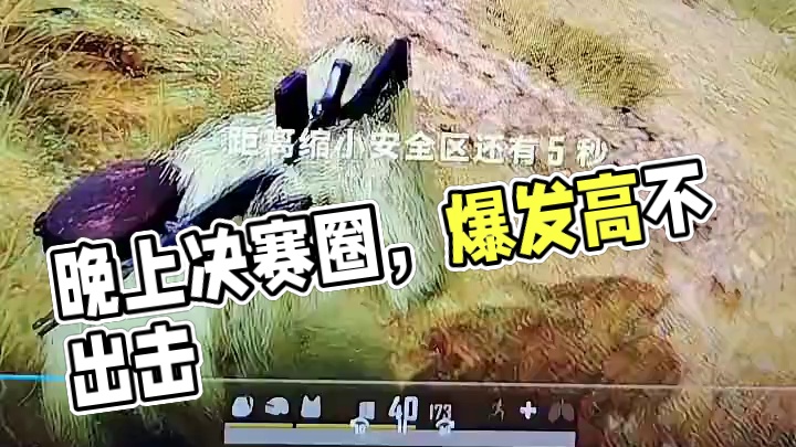 晚上这个点，活到决赛圈就算很好了 晚上强度有点大，不敢露头。#pubg #绝地求生