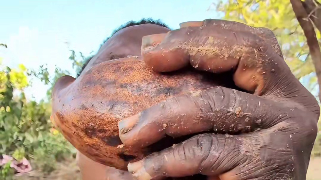 嘟嘟美食，嘎嘣脆，鸡肉味