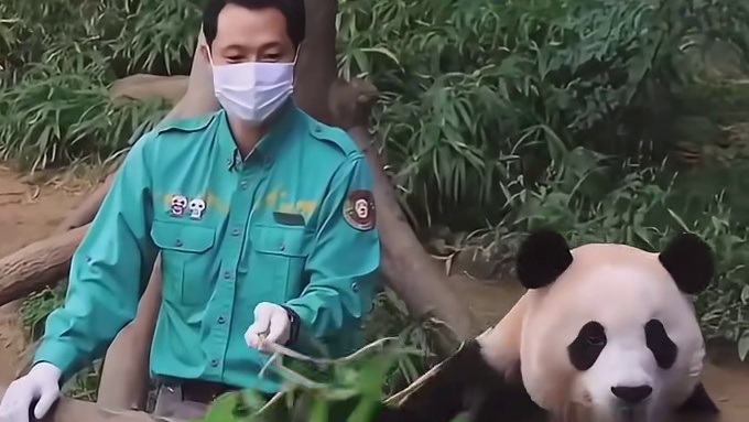 福宝：本公主可是有脾气的！