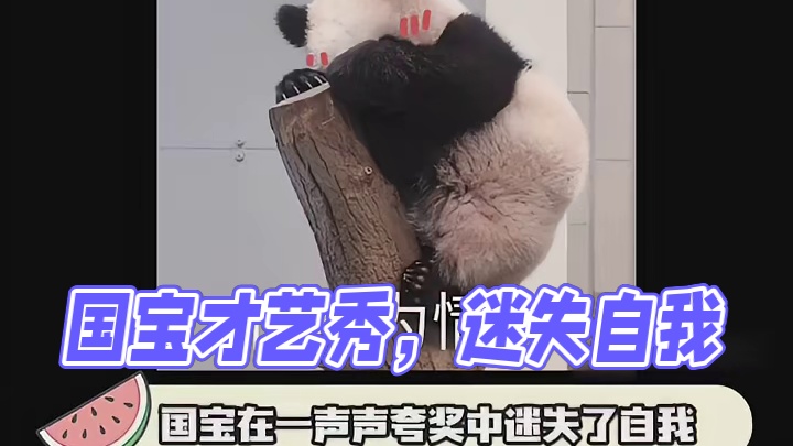 国宝：给大家上才艺！