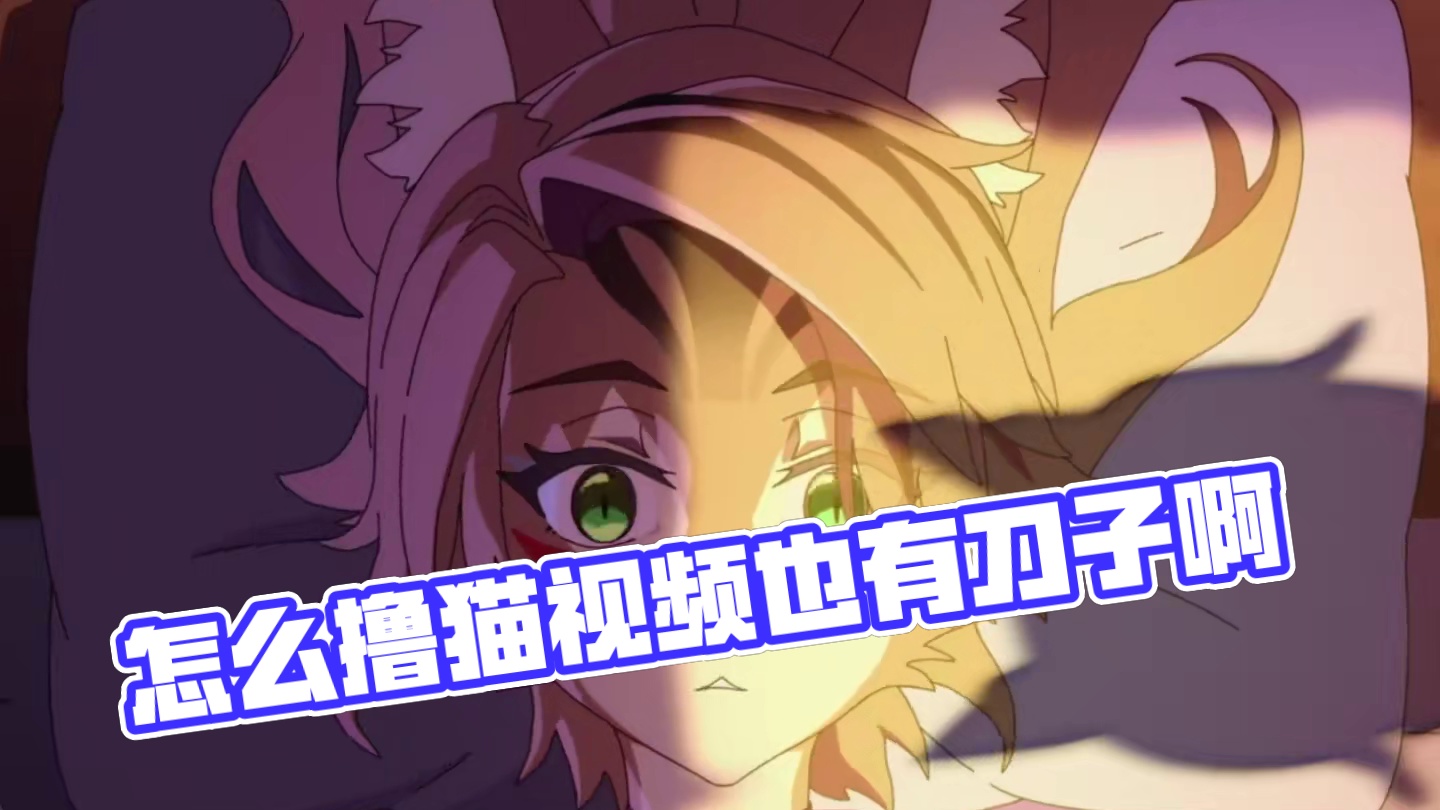 怎么撸猫视频也有刀子啊#绝区零 #绝区零创作激励计划 #绝区零波可娜 #绝区零攻略杂谈