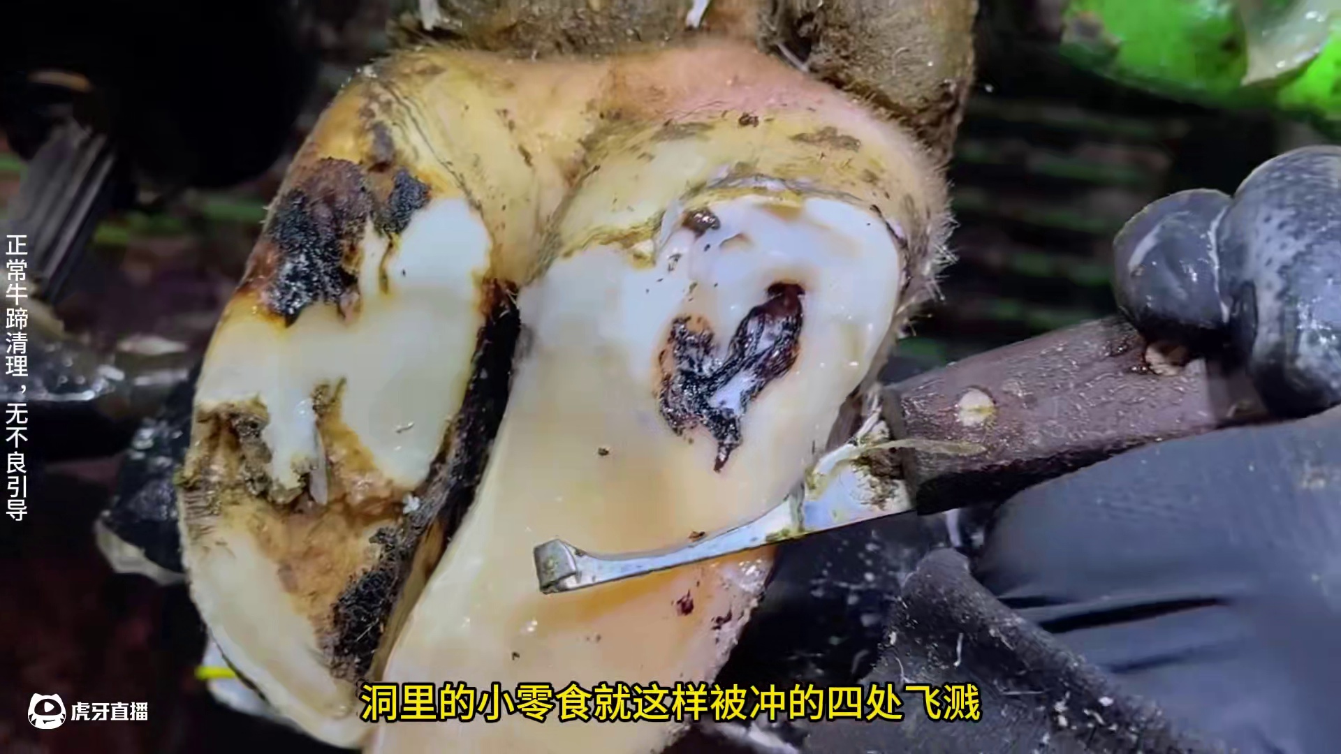 我发布了一个新视频，快来围观吧！