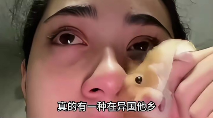 在r本看见美团是什么感受？