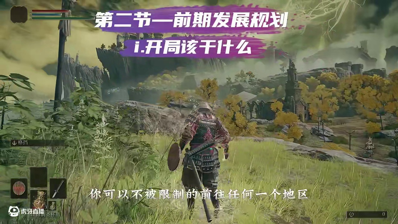 【新手必看】艾尔登法环入门视频②前期发展规划 #游戏解说 #单机游戏 #魂类游戏 #艾尔登法环