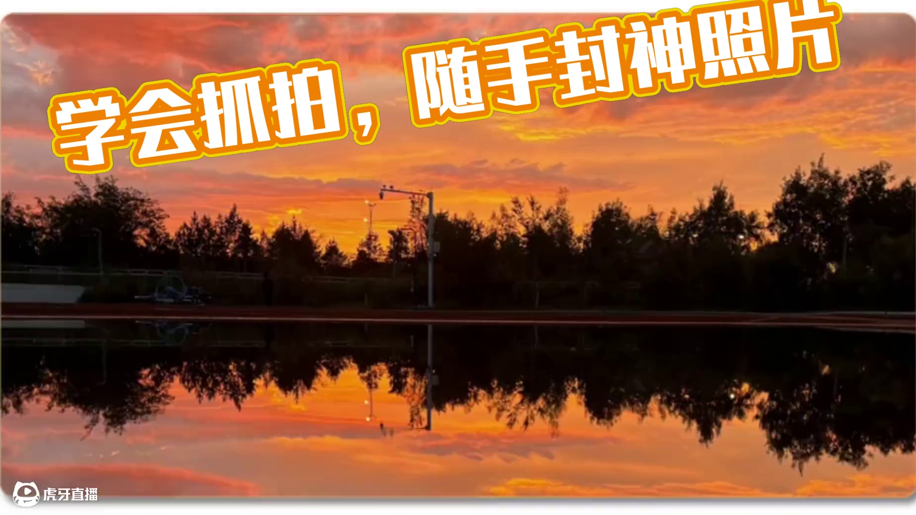 当我学会路边活人感拍照 欢迎评论区分享照片#前奏一响拾起多少人的回忆 #拍过最有氛围感的照片分享 #