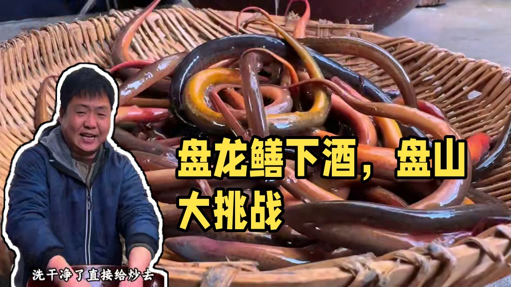 哥俩今天干架了，但是酒还得喝，盘龙鳝下酒真爽！ ##记录真实生活 #农村美食 #大山里的味道 #盘龙