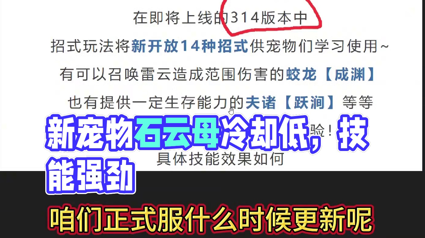 正式服将在14号本周五更新 新的宠物魂技测试 石云母+鹈鹕 两个冷却很短的远程伤害技能#妄想山海 #