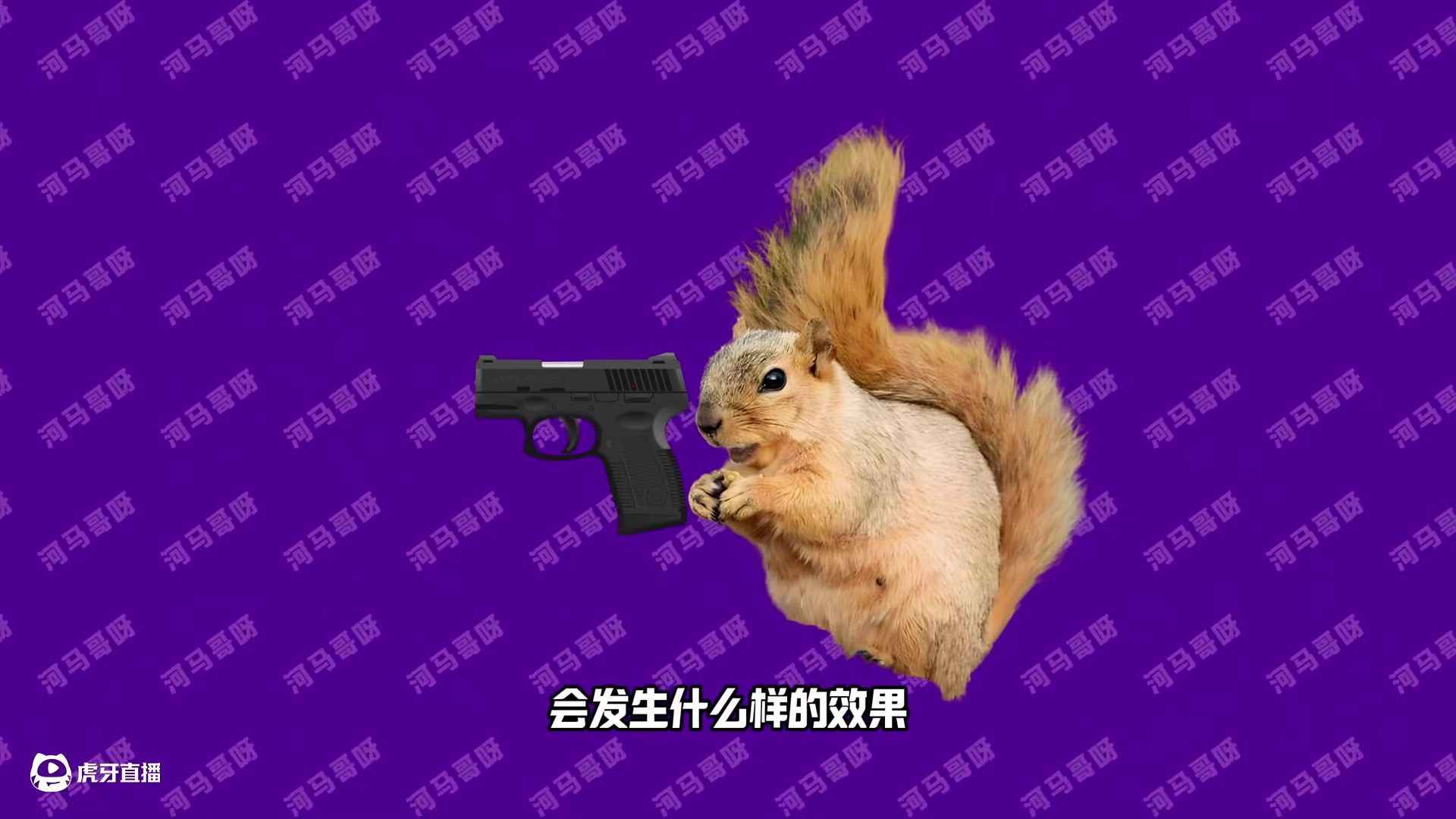 松鼠枪神养成记：从手抖萌新到爆头大师 #新游鉴赏家 #单机游戏 #松鼠遇到枪 #steam游戏