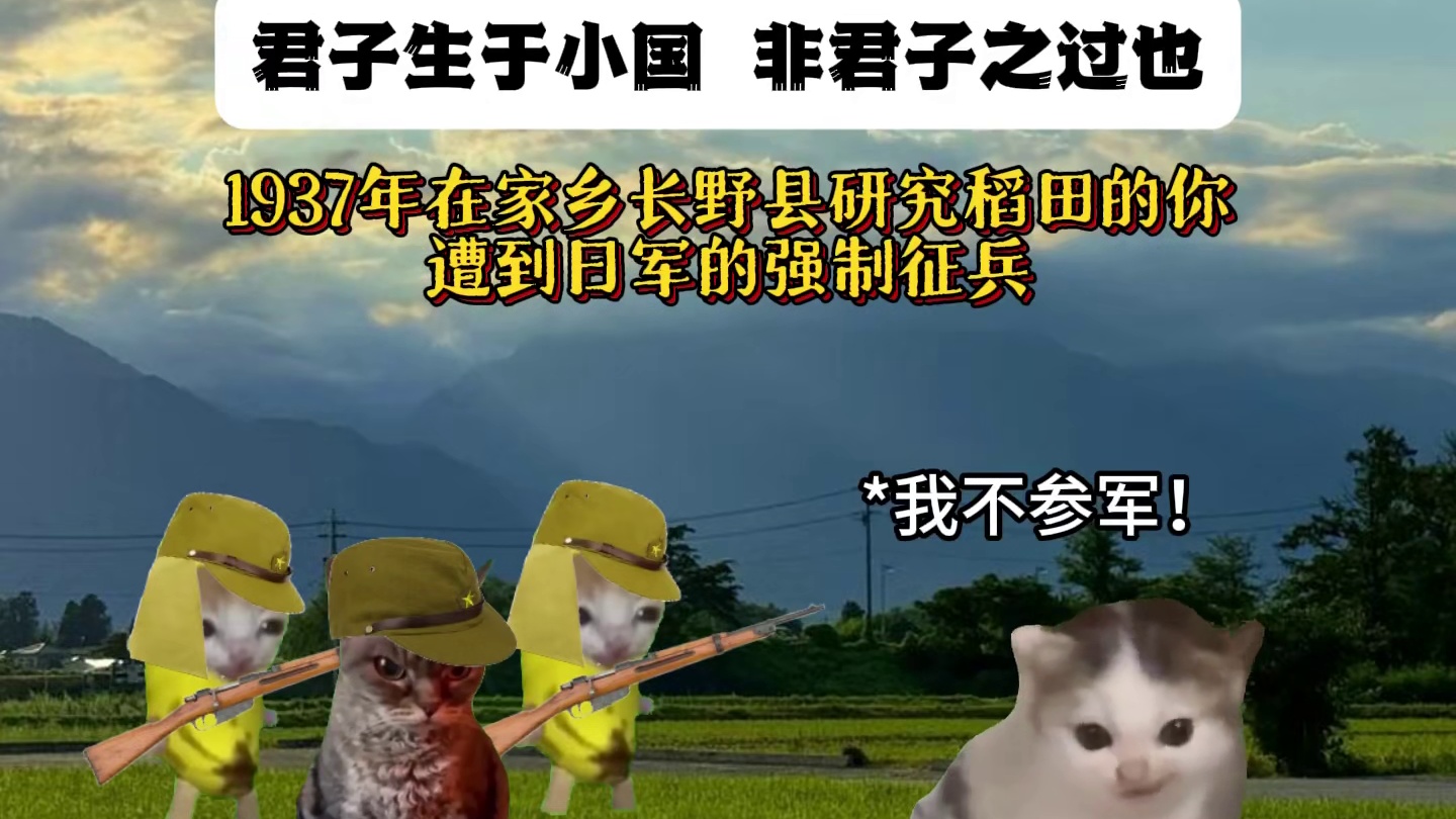 君子生于小国，非君子之过也，致敬英雄 #猫meme #猫meme小剧场 #抗日英雄 #福建一夫 #内