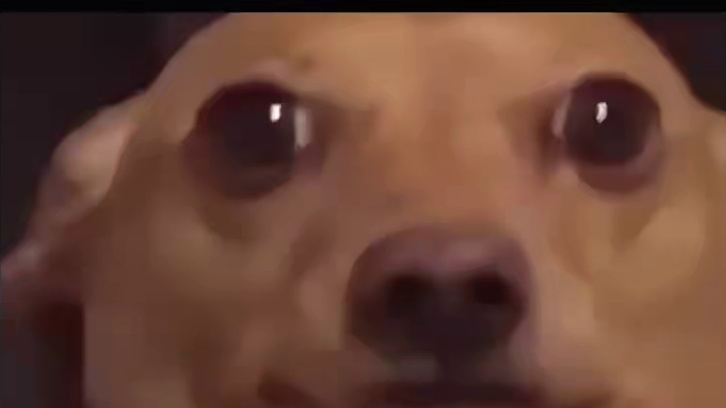 一条视频z出这么多数学家