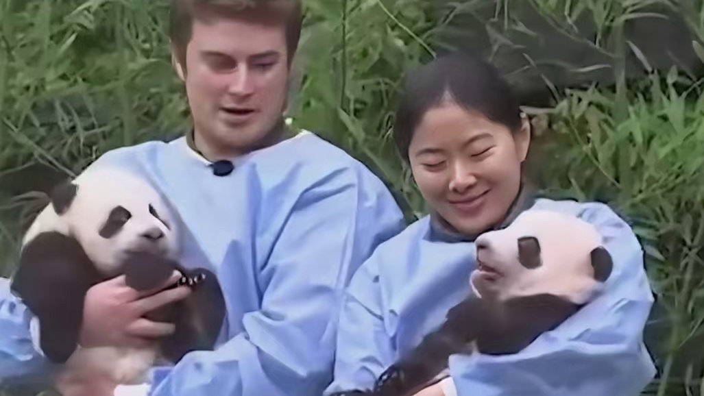 大熊猫的生活我的梦