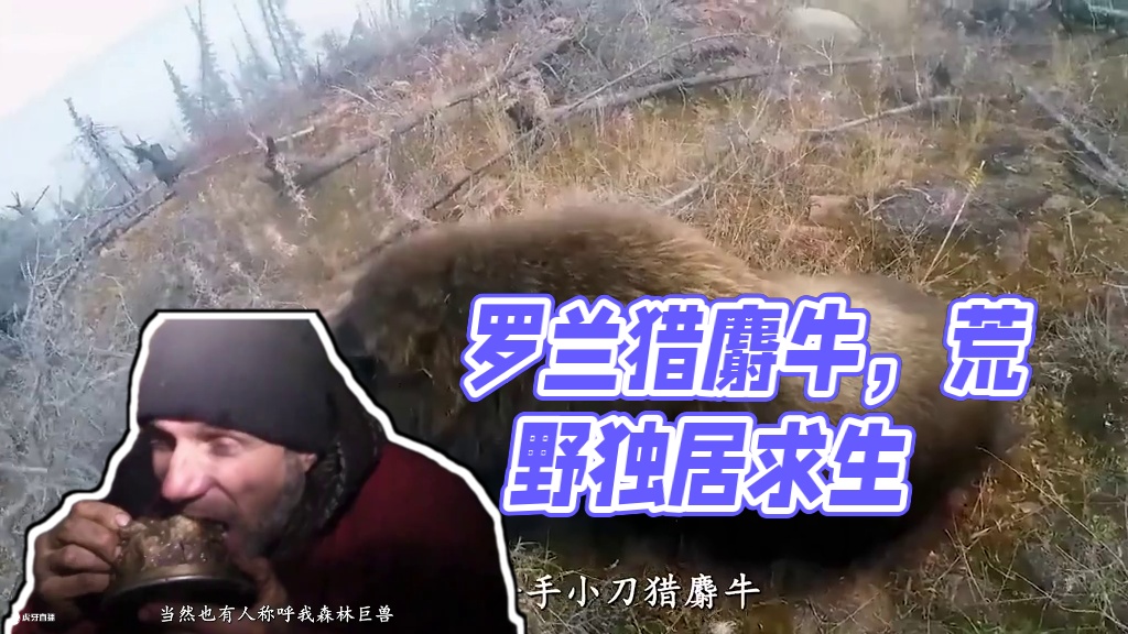 荒野独居 罗兰曾凭借一手小刀猎麝牛，被网友亲切称为牛哥，当然也有人称之为林巨兽，而乔丹却是第六季中体