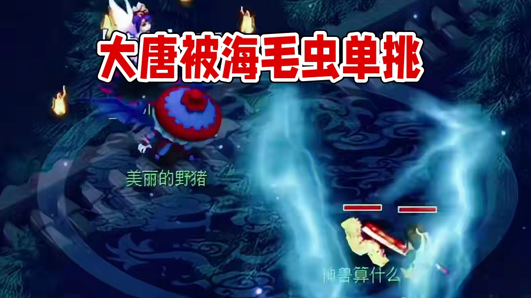 梦幻最强毛虫，#梦幻西游电脑版 #梦幻西游 #梦幻西游创梦计划