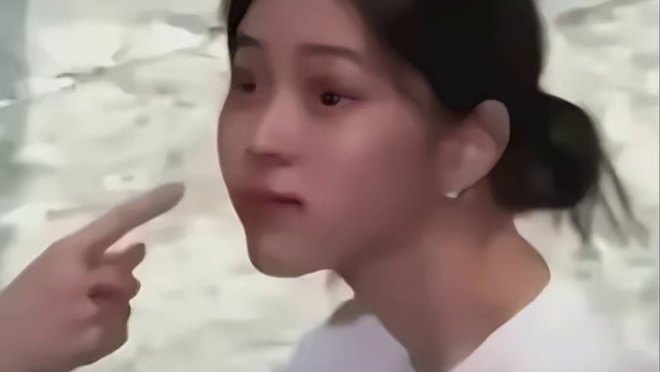 每根笋子背后都有一只辛苦的猫猫