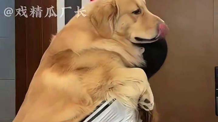 他不仅守护了小狗，也保卫了孩子的童年 #狗狗  #童年 #治愈小宠 #万万没想到