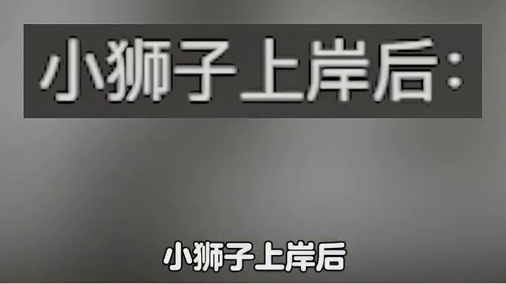 疑似00后狮子带娃