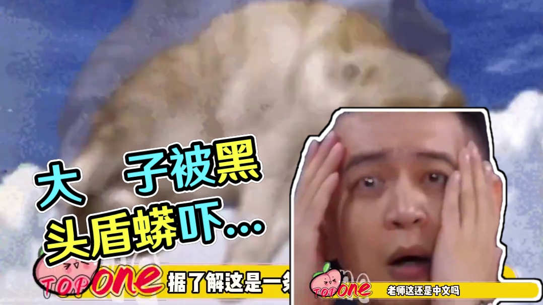 大祙子这还是中文吗，这孩子也太蟒了#万万没想到 #震惊  ##黑头盾蟒  #害怕  #熊孩子