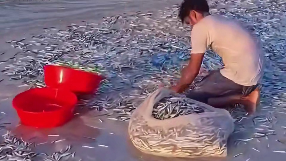 万万没想到，就这这浪费的行为，却让他挣了三千万！#三只松鼠 #小鱼仔 #好吃到停不下来 #零食推荐 