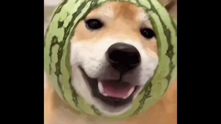 我说AI你还是太全面啦！#AI #人工智能