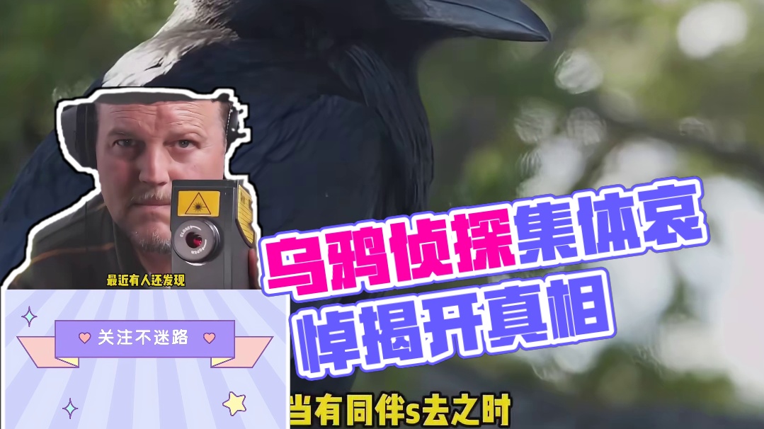 睿智而优雅的乌鸦侦探上线啦