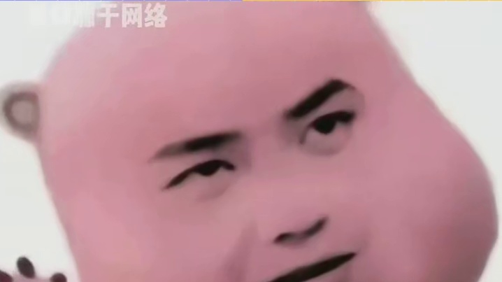 不得不说，澳门车牌是真的帅啊