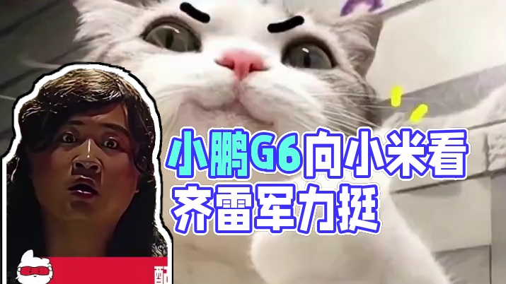 小鹏G6上市，向小米看齐 #小鹏 #小米 #雷军 #汽车 #科技