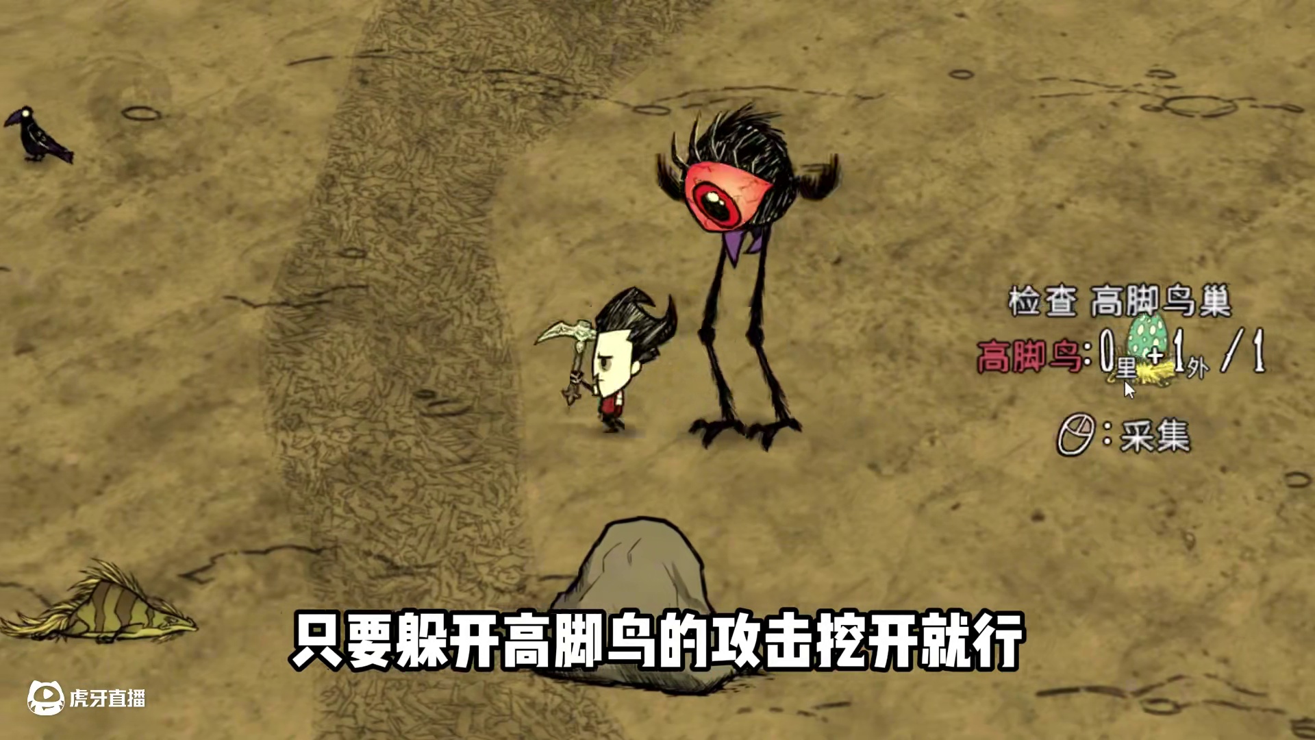 饥荒萌新开局如何快速收集资源 #饥荒 #饥荒联机版 #饥荒新手教程