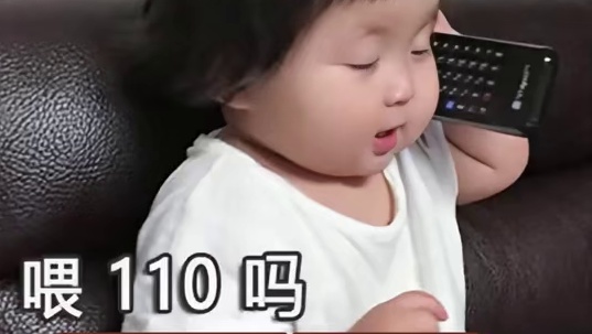 小老虎：你们有本事就找我爸啊 #老虎 #动物园  #可爱  #呆萌