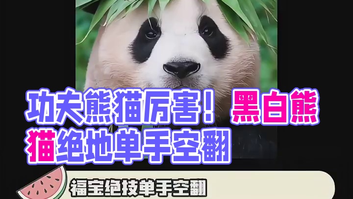 功夫熊猫原来是纪录片！