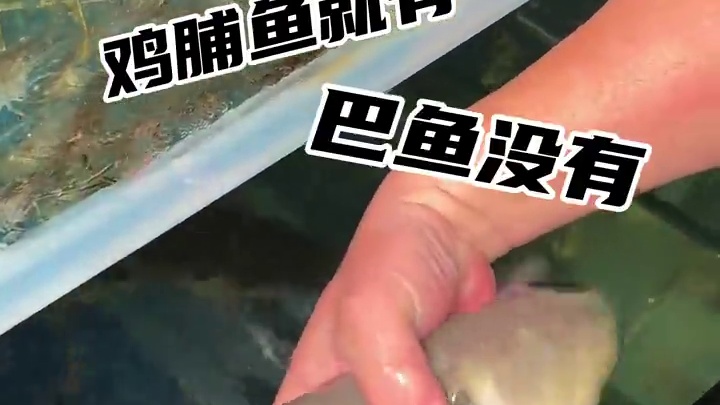 从珠海开30多公里来神湾！就是为了吃这家本地人都爱吃的大排档 #神湾美食 #神湾菠萝 #中山大排档 