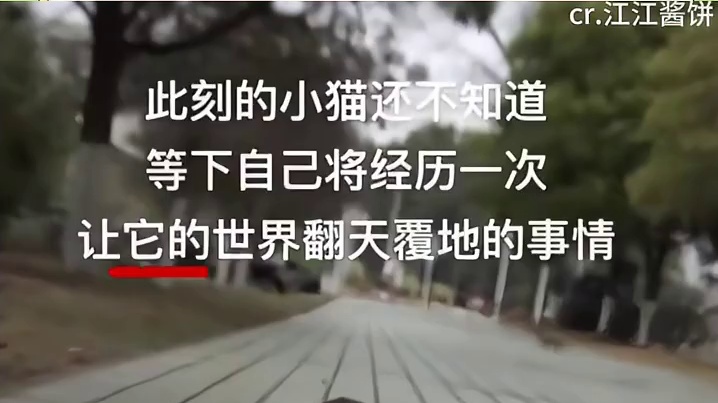 物理上的翻天覆地啊？