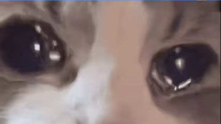 她那么着急，好像在救一个人一样