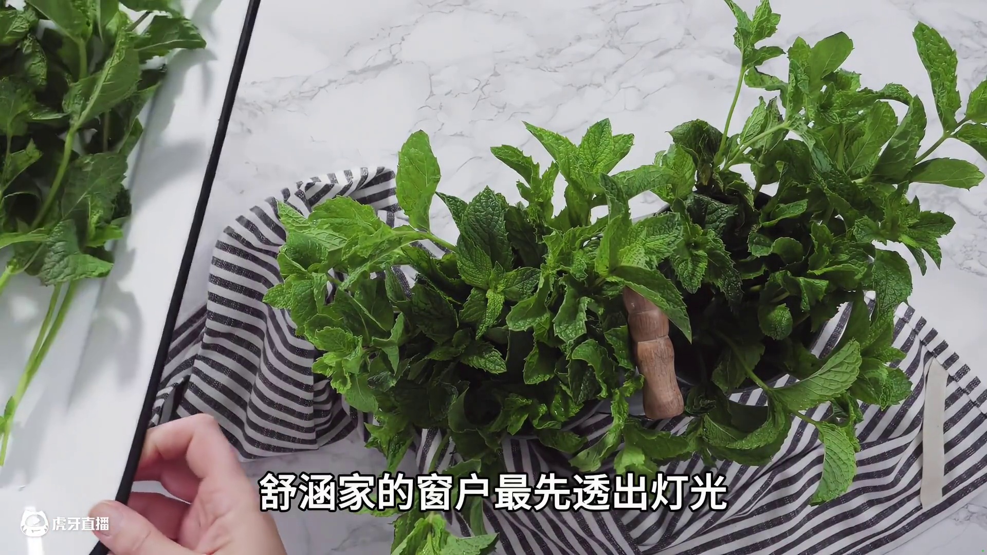 舒涵水乡烟火记