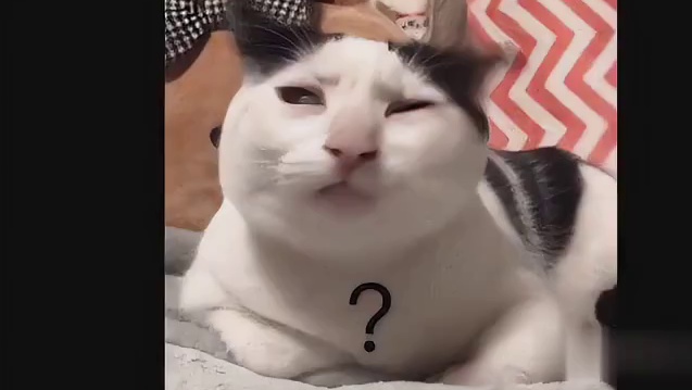 这俩高考坐我后面…