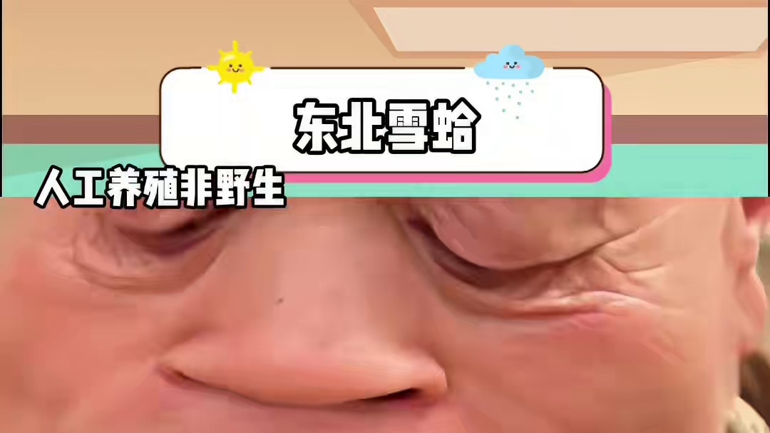 东北雪蛤吃过吗？ #东北 #雪蛤