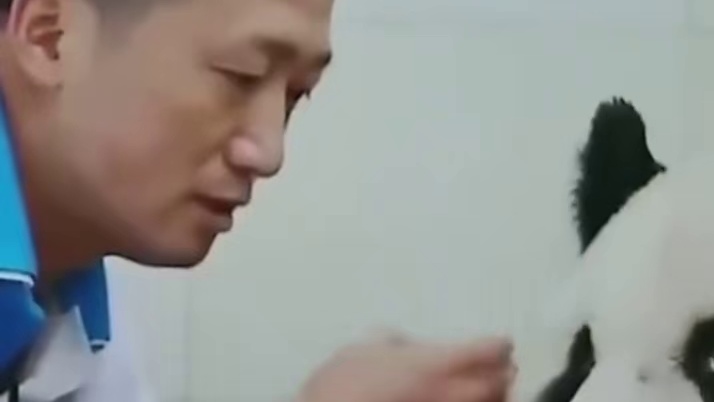 怎么会没有感情呢