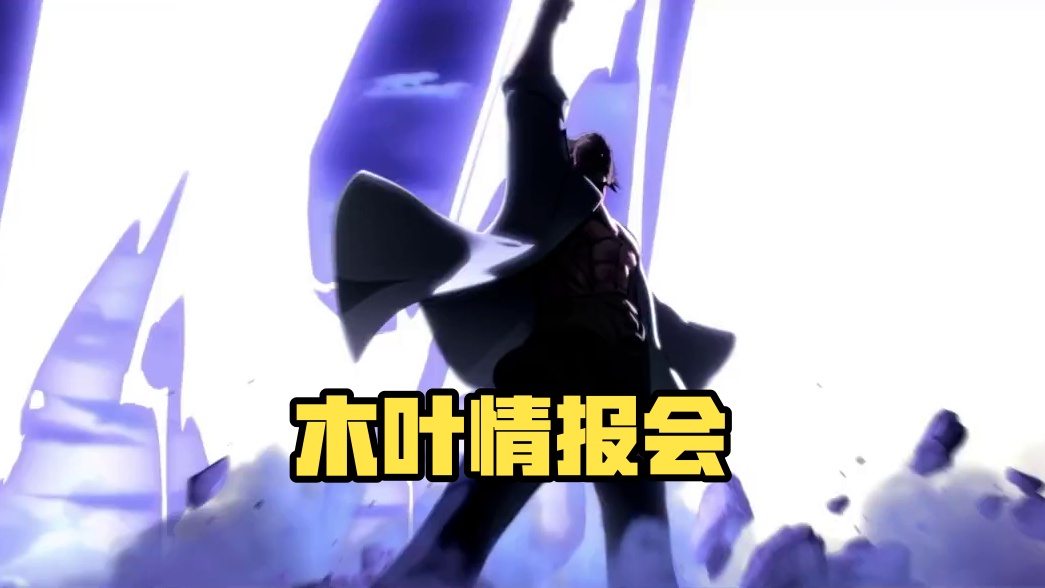 【回放】木叶情报会