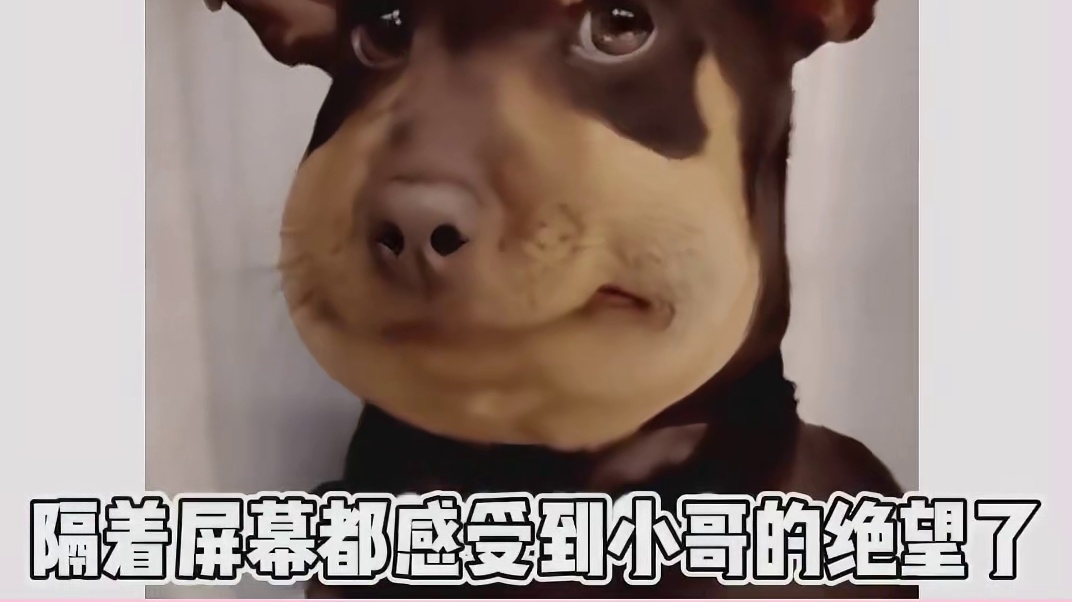 霓虹的奇葩投诉电话，隔着屏幕都能感受到小哥的崩溃